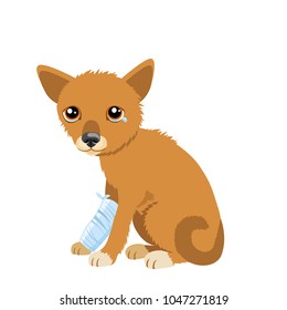 Small Sad Dog. Vector Illustration Of Cute Sad Puppy. Sick Dog With Splinting Leg. Veterinary Theme.