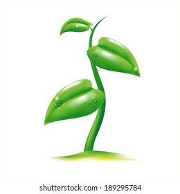 Small  sapling with water drop, green ecology concept