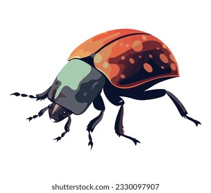 Small scarab beetle over white