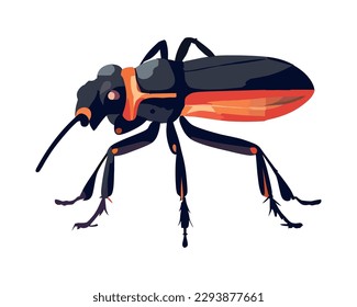 Small scarab insect illustration over white