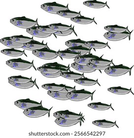 A small school of Pilchards or baitfish 