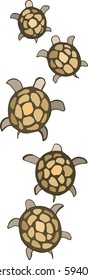 
small sea turtles