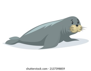 Small Seal Crawling On Belly On Ice Floe. Wild Animal Baby Sea Lion Lies On Glacier In Antarctica. Mammal Living In Arctic. Sea Calf Lies Sideways On Iceberg. Northern Animal Spends Time In Habitat