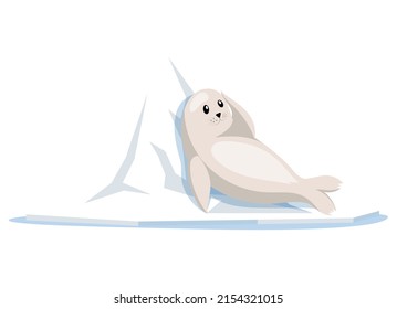 Small seal lies on ice floe and relax. Wild animal resting on glacier in antarctica. Mammal living in arctic. Seal lies sideways on iceberg. Northern animal white sea calf spends time in habitat