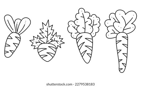 Pequeño conjunto de 4 zanahorias. Ilustración en blanco y negro del vector del doodle.