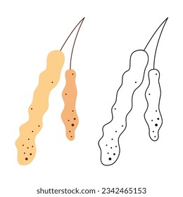 Pequeño conjunto con calabazas abstractas de abedul. Ilustración vectorial de clipart en blanco y negro y en color.