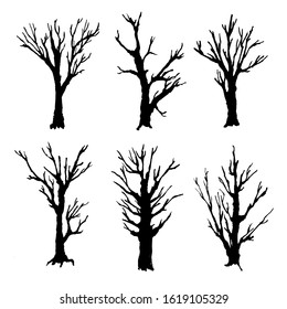 A small set of brushes of dried trees