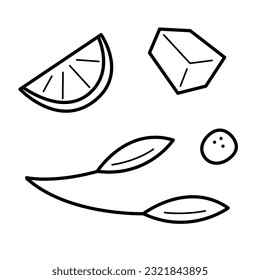 Ein kleiner Satz eines Eiswürfels, ein Stück Zitrusfrüchte, ein Ast mit Blättern und ein Oval. Doodle, schwarz-weiß, Vektorgrafik.