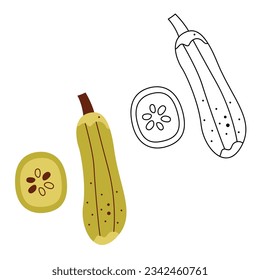 A small set with a zucchini and a piece of zucchini. Black and white and color clipart vector illustration.