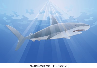 Small shark swimming underwater vector