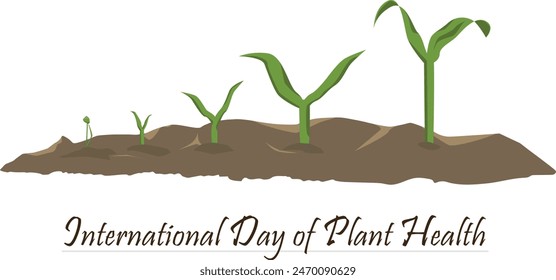 Small shoots evolve until they grow big by celebrating International Day of Plant Health