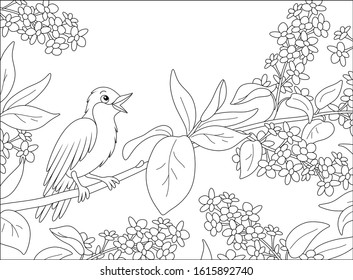 Small singing nightingale perched on a branch with flowers of a spring blooming tree, black and white vector cartoon illustration for a coloring book page