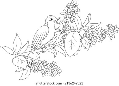 Small singing nightingale perched on a branch with flowers of a spring blooming tree, black and white vector cartoon illustration for a coloring book page