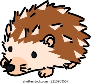 Small Smiling White Brown Hedgehog 