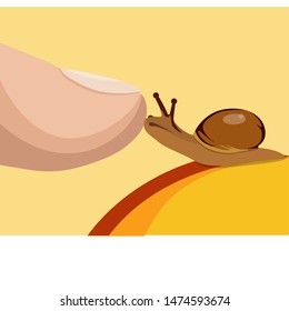 
Small snail on a fruit and a human finger