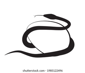 2,889 Snake eggs Images, Stock Photos & Vectors | Shutterstock