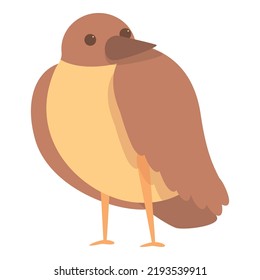 Small sparrow icon cartoon vector. Tree bird. Home bird