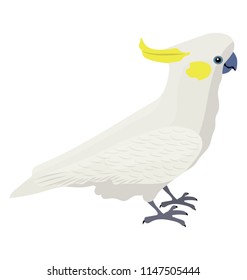 
A small sparrow like bird in white color  depicting cockatoo
