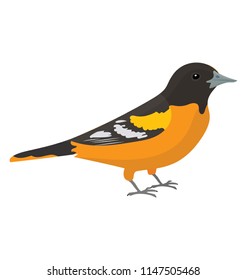 
A small sparrow like bird in yellow and black depicting ploceidae 
