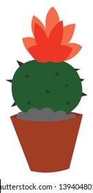 A small spiky cactus plant with a fresh flower vector color drawing or illustration