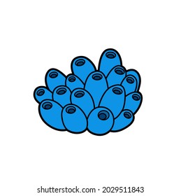 Small sponge colony coloring book  color variation for coloring page isolated on white background