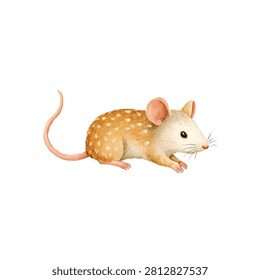 Small spotted rodent mammal creature mouse