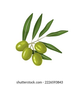 Small sprig with green leaves and ripe olives.