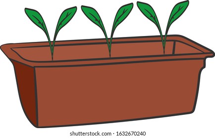 Small sprouts in a long pot. Seedlings are growing. Gardening. Isolated elements on a white background.
