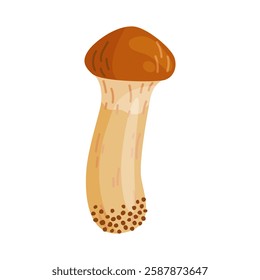 Small Suillus luteus, yellow mushroom. Edible forest fungus slippery jack or sticky bun. Suillus mushroom or yellow pig Hand drawn trendy flat style isolated icon. Vector illustration