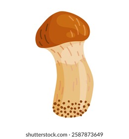 Small Suillus luteus, yellow mushroom. Edible forest fungus slippery jack or sticky bun. Suillus mushroom or yellow pig Hand drawn trendy flat style isolated icon. Vector illustration