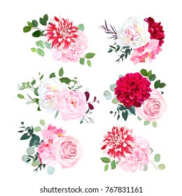 Small summer bouquets of pink rose, white peony, red dahlia, hydrangea, green plants, eucalyptus. Vector design set. Bunch of flowers. All elements are isolated and editable.