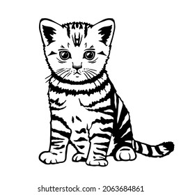 Small tabby kitten vector illustration. Cat for vinyl cutting and printing. Lovely pets.