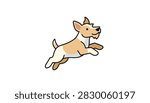 Small tan and white puppy jumping playfully in the air with ears perked up.