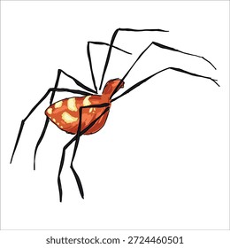 Pequeno Ladrão Aranha. Argyrodes miniaceus. Pequeno, vermelho. Ilustração vetorial colorida desenhada à mão. Pitoresco. Estilização detalhada exclusiva. Imprimir em cadernos de anotações, adesivos, cartões postais, copos, roupas, cartazes. Biológico.