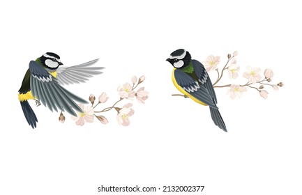 Small tit bird and blooming tree branch set. Symbol of spring cartoon vector illustration