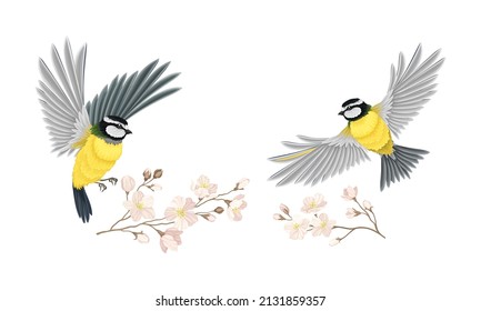 Small tit bird and blooming twig of sakura tree set. Symbol of spring cartoon vector illustration