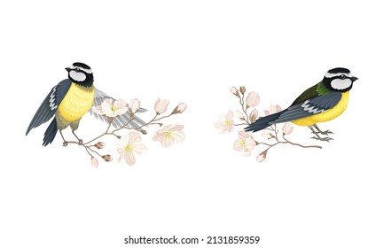 Small tit bird sitting on blooming tree branch set cartoon vector illustration
