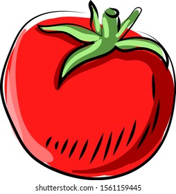 Tomate pequeño, ilustración, vector sobre fondo blanco.