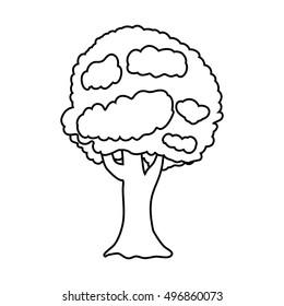 small tree with branches and leaves