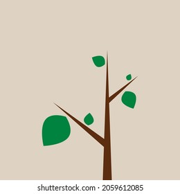 Árbol pequeño con cinco hojas verdes