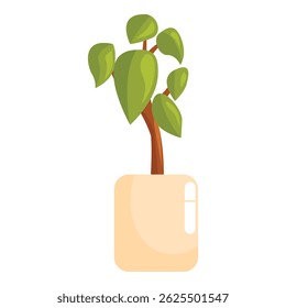 Small tree growing in a beige pot, perfect for home decoration