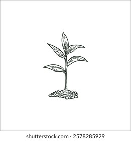 Small tree growth hand drawn illustration artwork