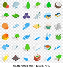 Small tree icons set. Isometric style of 36 small tree vector icons for web for any design