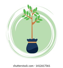 small tree with leaves growing from grow bag icon cartoon in round icon with pop art background