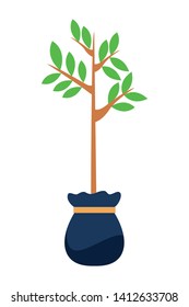 small tree with leaves growing from grow bag icon cartoon isolated vector illustration graphic design