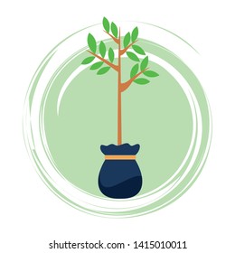 small tree with leaves growing from grow bag icon cartoon in round icon with pop art background