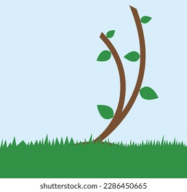 A small tree with small leaves, tree at spring time, blue sky, short tree, green and blue and brown colors, tree illustration vector, trunk and leaves, small leaf, suitable for educational content
