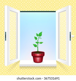 Small tree pot in front of an open window