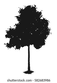 Small tree silhouette, isolated on white, vector illustration 