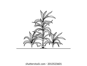 Small tree sketch vector design for home yard